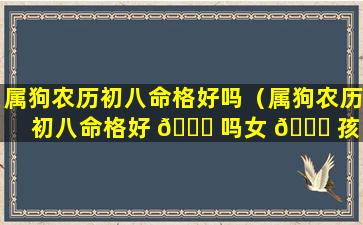 属狗农历初八命格好吗（属狗农历初八命格好 🐋 吗女 🐈 孩）